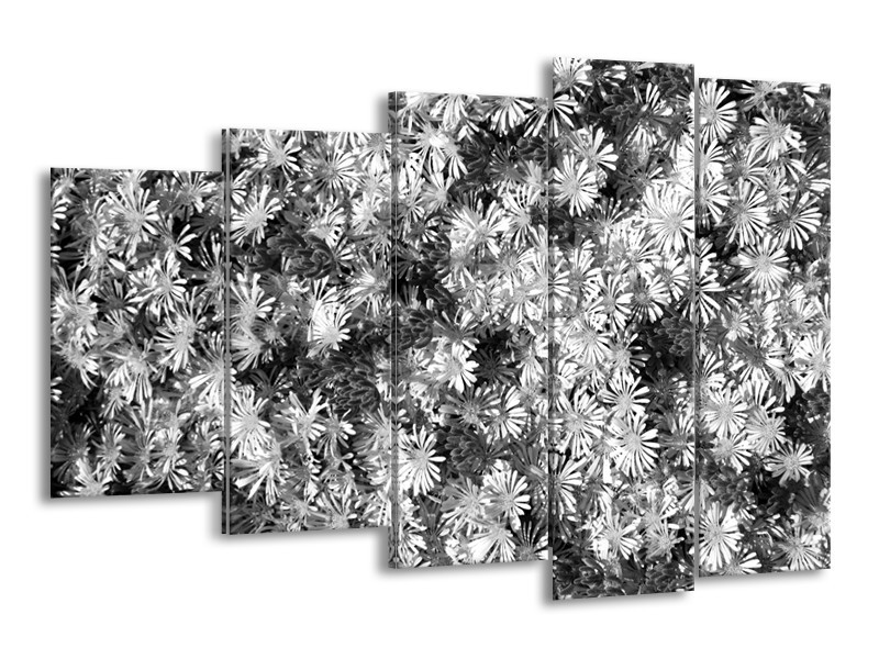 Glasschilderij Bloemen | Zwart, Wit, Grijs | 150x100cm 5Luik