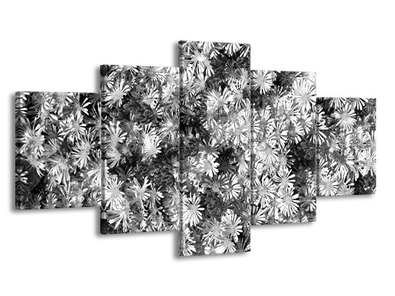 Glasschilderij Bloemen | Zwart, Wit, Grijs | 150x80cm 5Luik