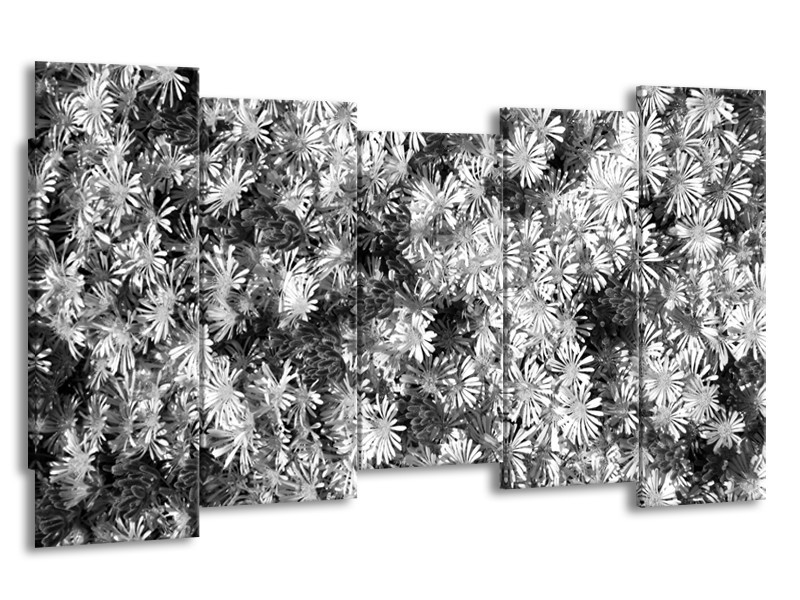 Canvas Schilderij Bloemen | Zwart, Wit, Grijs | 150x80cm 5Luik