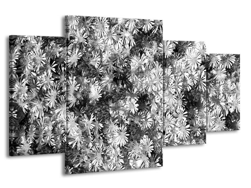 Glasschilderij Bloemen | Zwart, Wit, Grijs | 160x90cm 4Luik