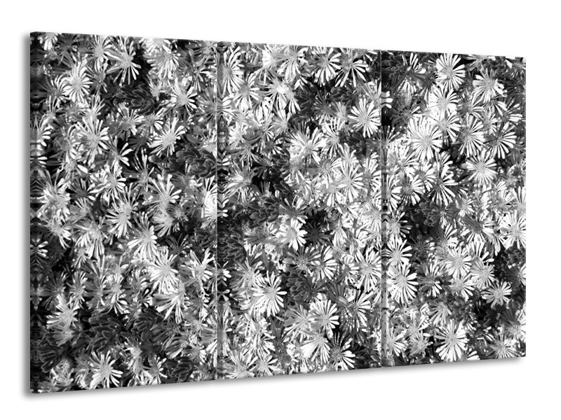 Canvas Schilderij Bloemen | Zwart, Wit, Grijs | 165x100cm 3Luik