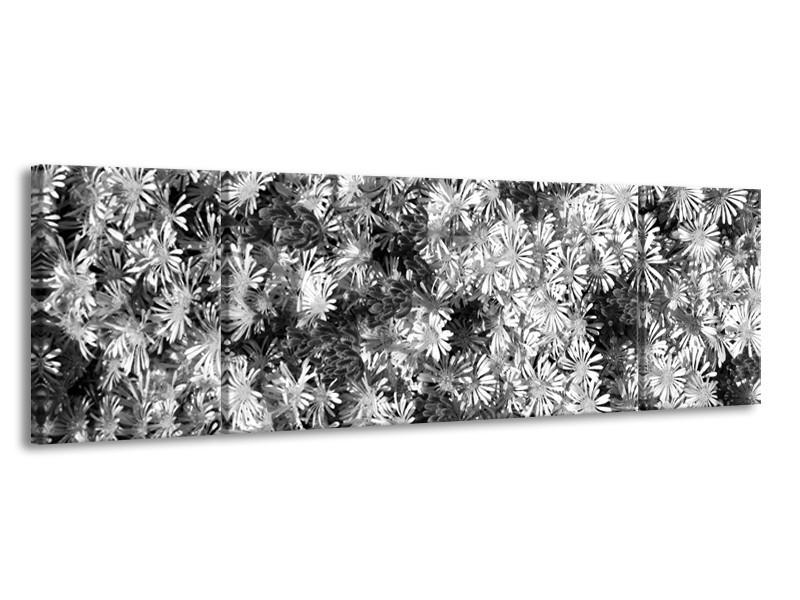 Canvas Schilderij Bloemen | Zwart, Wit, Grijs | 170x50cm 3Luik