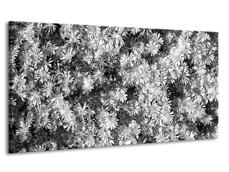 Canvas Schilderij Bloemen | Zwart, Wit, Grijs | 170x90cm 1Luik