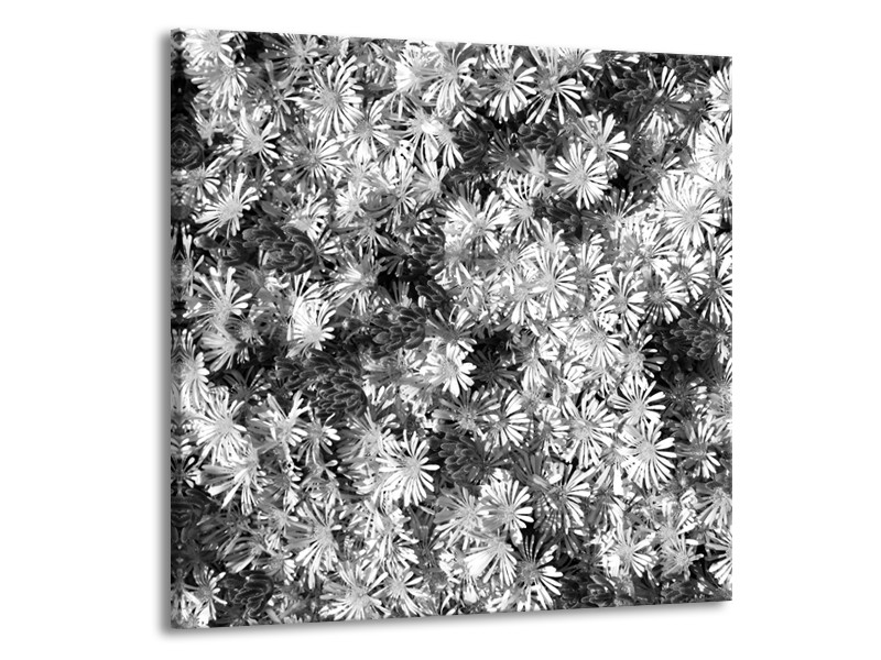 Glasschilderij Bloemen | Zwart, Wit, Grijs | 50x50cm 1Luik