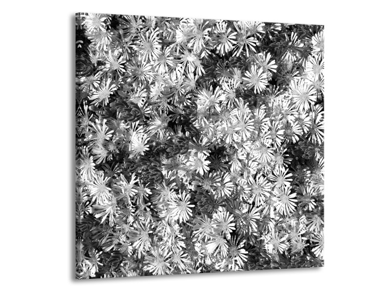 Canvas Schilderij Bloemen | Zwart, Wit, Grijs | 70x70cm 1Luik