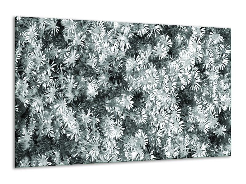 Glasschilderij Bloemen | Grijs, Groen | 120x70cm 1Luik