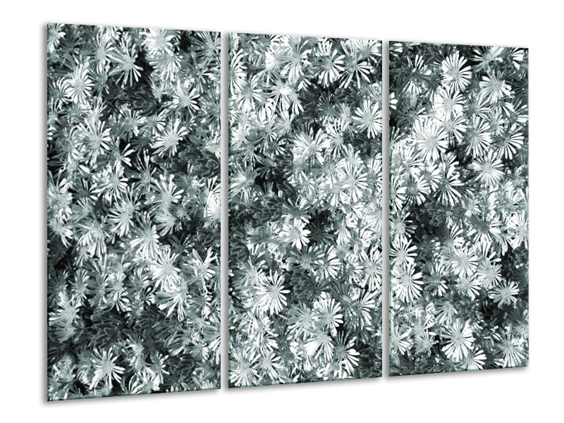 Glasschilderij Bloemen | Grijs, Groen | 120x80cm 3Luik