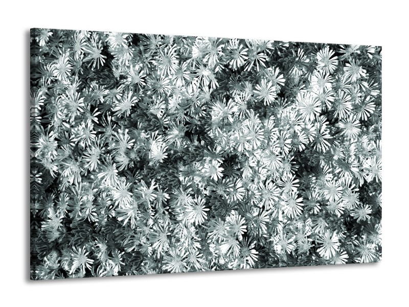 Canvas Schilderij Bloemen | Grijs, Groen | 140x90cm 1Luik