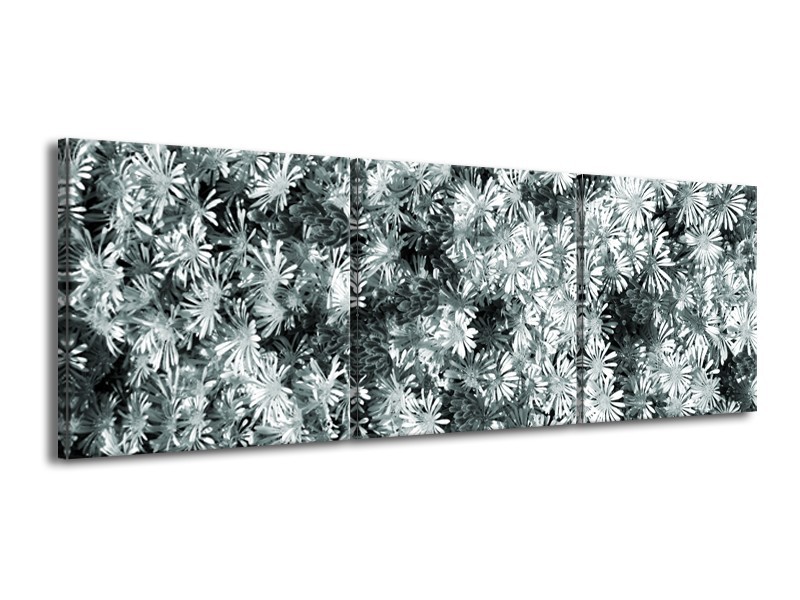 Glasschilderij Bloemen | Grijs, Groen | 150x50cm 3Luik