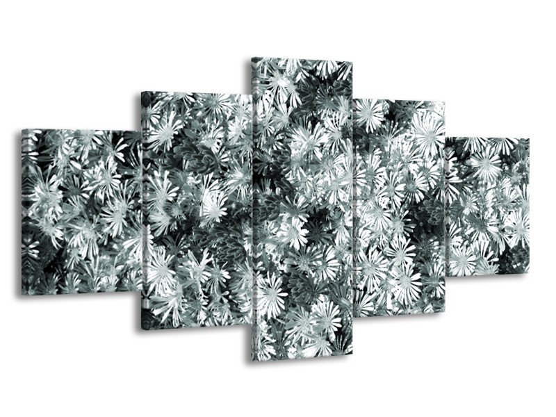 Canvas Schilderij Bloemen | Grijs, Groen | 150x80cm 5Luik