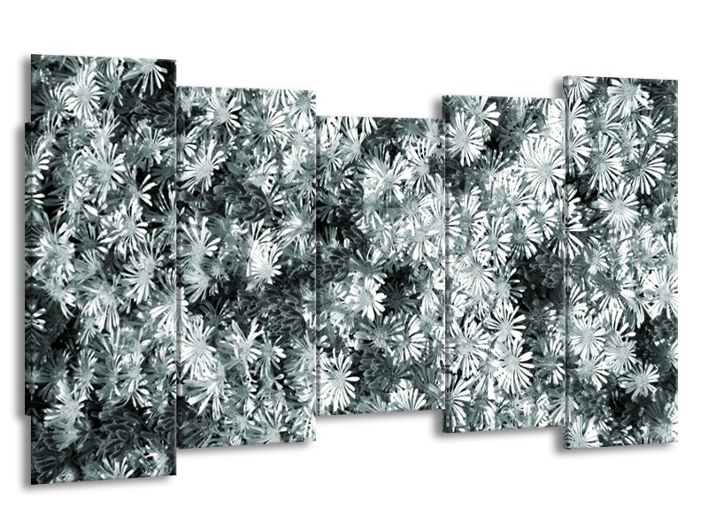 Glasschilderij Bloemen | Grijs, Groen | 150x80cm 5Luik