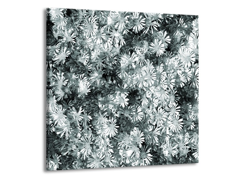 Glasschilderij Bloemen | Grijs, Groen | 50x50cm 1Luik