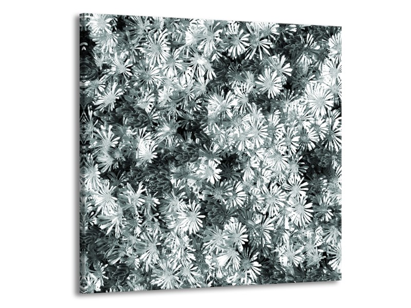 Glasschilderij Bloemen | Grijs, Groen | 70x70cm 1Luik