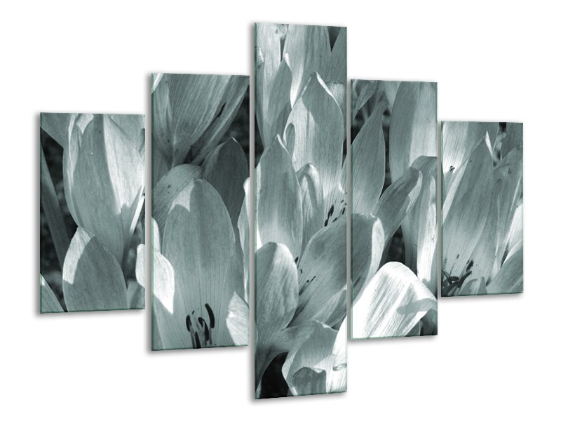 Glasschilderij Bloemen, Krokus | Grijs, Groen | 100x70cm 5Luik