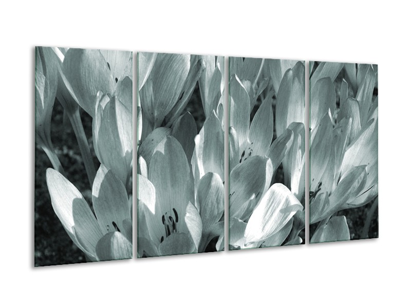 Canvas Schilderij Bloemen, Krokus | Grijs, Groen | 160x80cm 4Luik