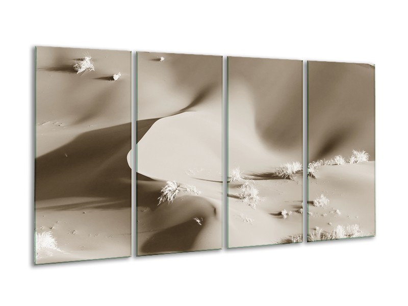 Glasschilderij Zand | Sepia | 160x80cm 4Luik