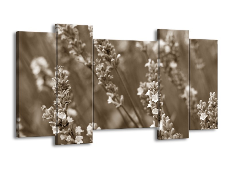 Glasschilderij Bloemen, Lente | Sepia | 120x65cm 5Luik