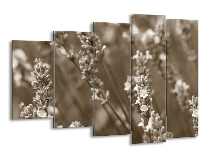 Canvas Schilderij Bloemen, Lente | Sepia | 150x100cm 5Luik