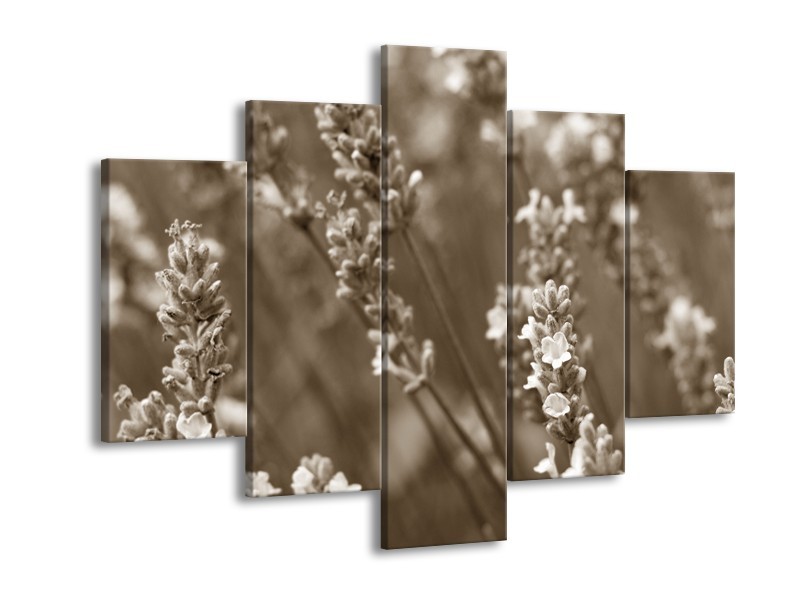 Glasschilderij Bloemen, Lente | Sepia | 150x105cm 5Luik