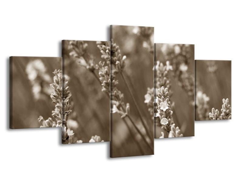 Glasschilderij Bloemen, Lente | Sepia | 150x80cm 5Luik