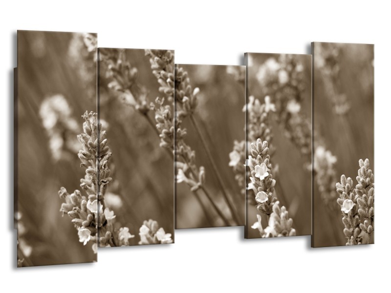 Canvas Schilderij Bloemen, Lente | Sepia | 150x80cm 5Luik