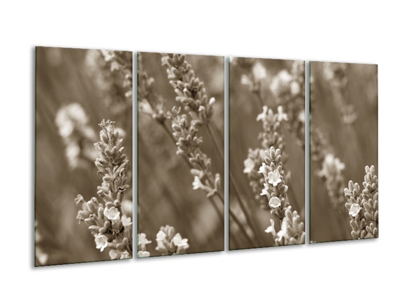 Glasschilderij Bloemen, Lente | Sepia | 160x80cm 4Luik