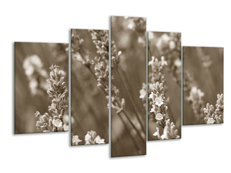 Canvas Schilderij Bloemen, Lente | Sepia | 170x100cm 5Luik