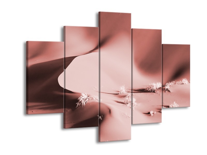 Glasschilderij Zand | Bruin, Rood | 150x105cm 5Luik