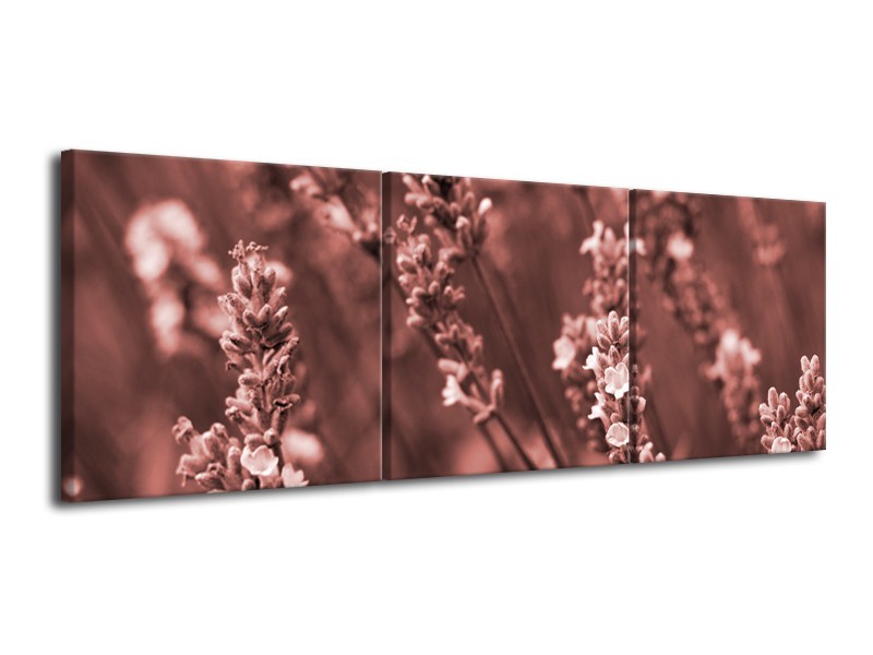 Canvas Schilderij Bloemen, Lente | Bruin, Rood | 120x40cm 3Luik