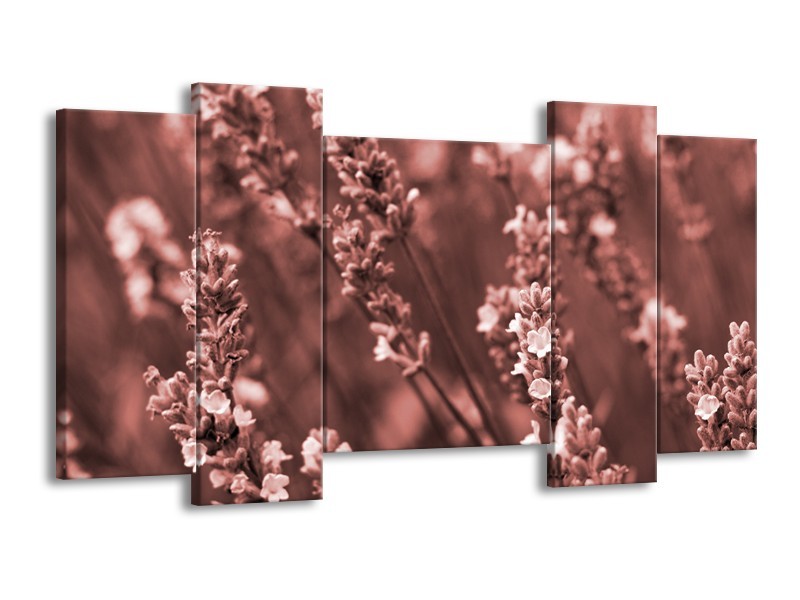 Glasschilderij Bloemen, Lente | Bruin, Rood | 120x65cm 5Luik