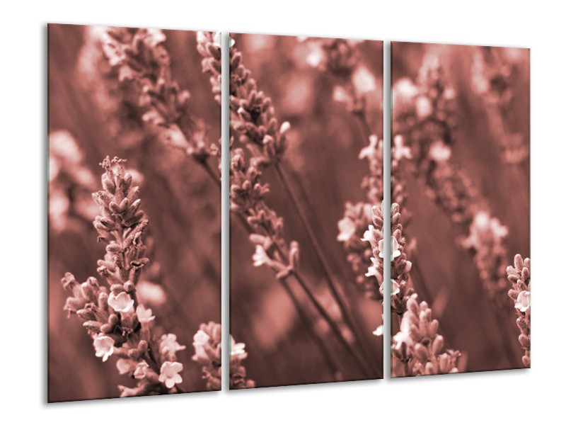 Glasschilderij Bloemen, Lente | Bruin, Rood | 120x80cm 3Luik