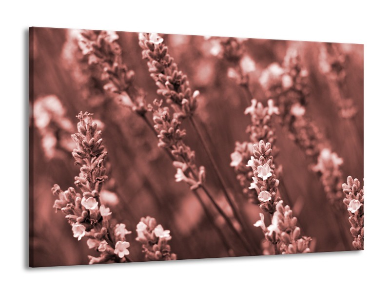Canvas Schilderij Bloemen, Lente | Bruin, Rood | 140x90cm 1Luik