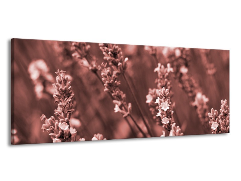 Canvas Schilderij Bloemen, Lente | Bruin, Rood | 145x58cm 1Luik