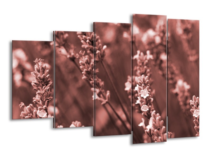 Canvas Schilderij Bloemen, Lente | Bruin, Rood | 150x100cm 5Luik