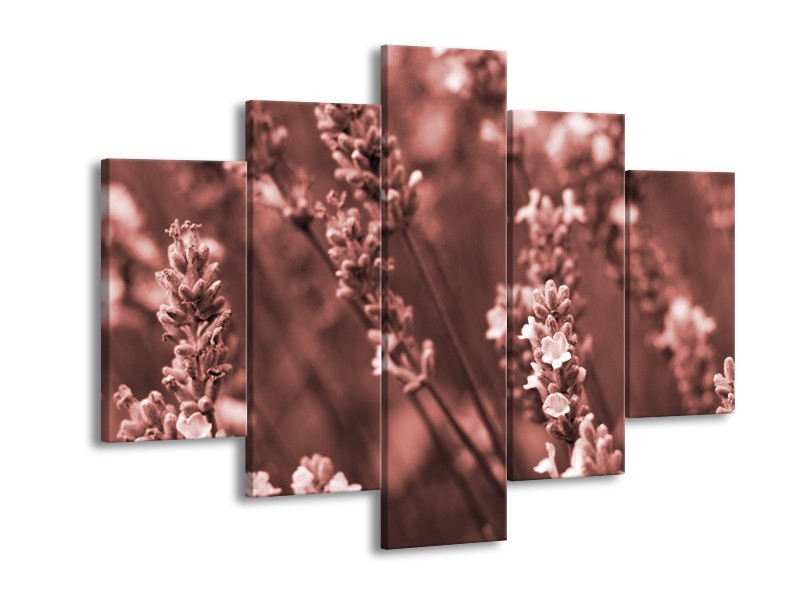 Glasschilderij Bloemen, Lente | Bruin, Rood | 150x105cm 5Luik