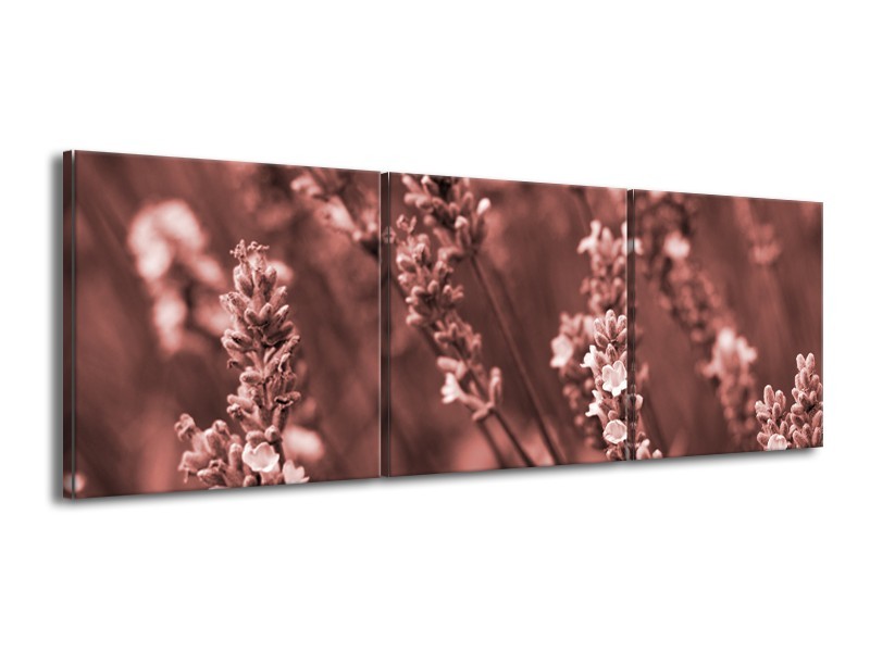 Canvas Schilderij Bloemen, Lente | Bruin, Rood | 150x50cm 3Luik