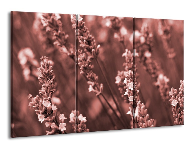 Canvas Schilderij Bloemen, Lente | Bruin, Rood | 165x100cm 3Luik