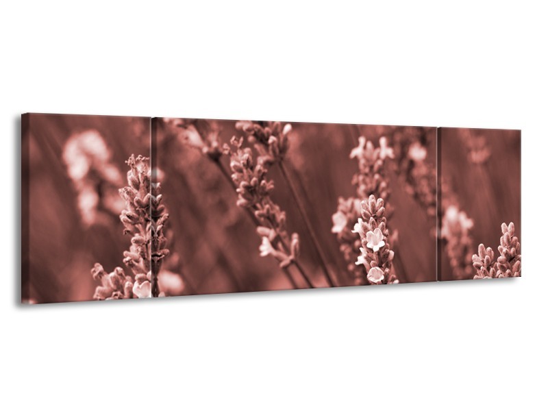 Glasschilderij Bloemen, Lente | Bruin, Rood | 170x50cm 3Luik