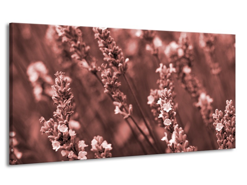 Canvas Schilderij Bloemen, Lente | Bruin, Rood | 170x90cm 1Luik