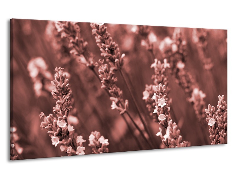 Canvas Schilderij Bloemen, Lente | Bruin, Rood | 190x100cm 1Luik