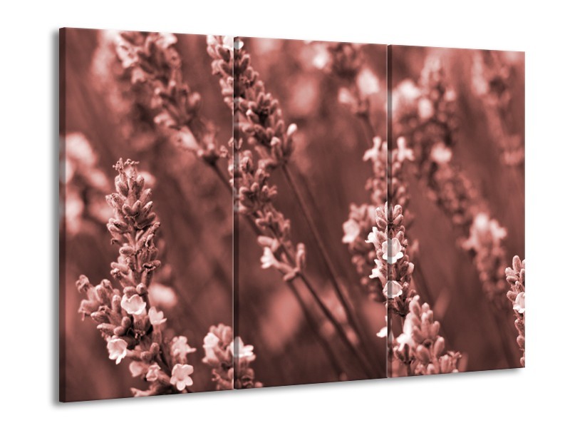 Glasschilderij Bloemen, Lente | Bruin, Rood | 60x90cm 3Luik