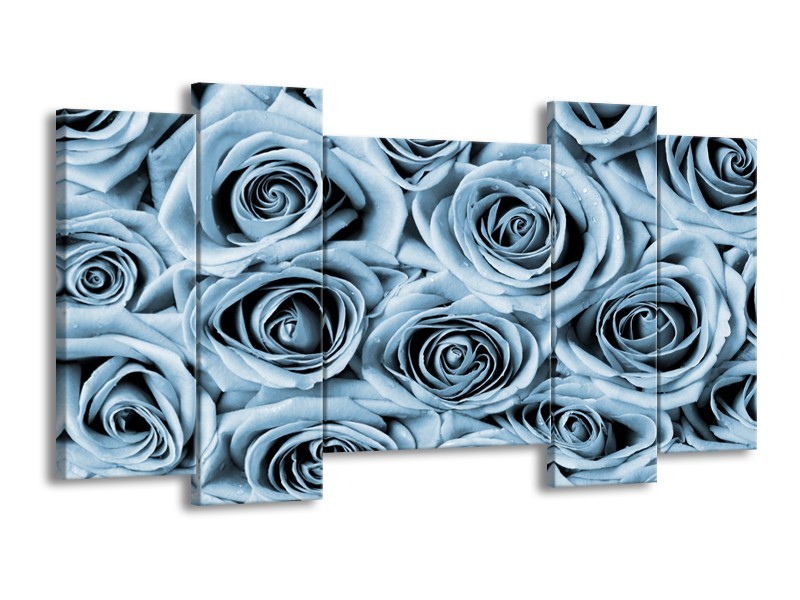 Canvas Schilderij Bloemen, Roos | Blauw, Grijs | 120x65cm 5Luik