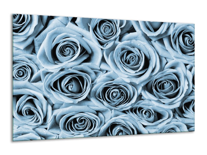 Glasschilderij Bloemen, Roos | Blauw, Grijs | 120x70cm 1Luik