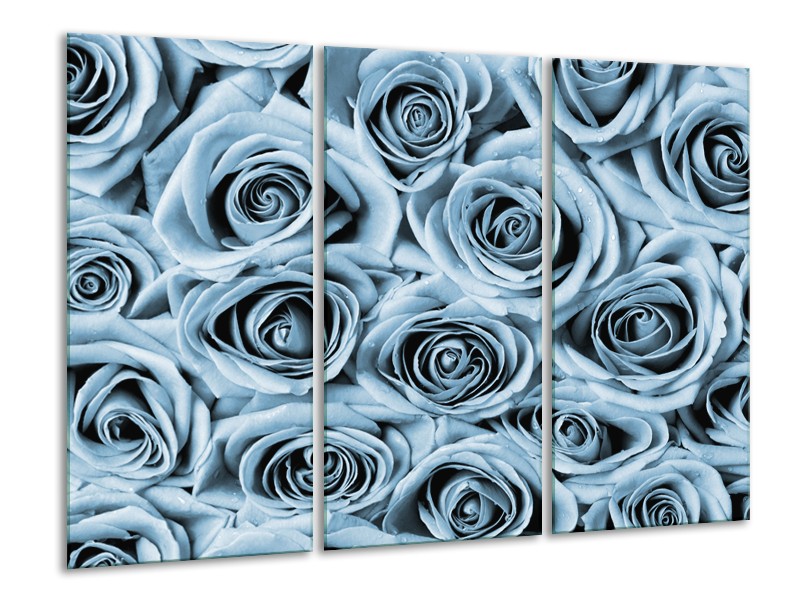 Canvas Schilderij Bloemen, Roos | Blauw, Grijs | 120x80cm 3Luik