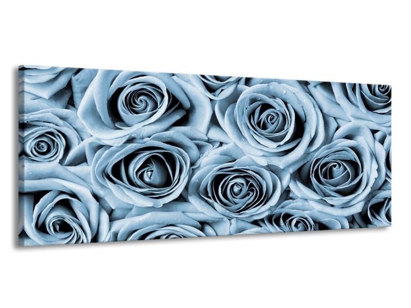 Canvas Schilderij Bloemen, Roos | Blauw, Grijs | 145x58cm 1Luik