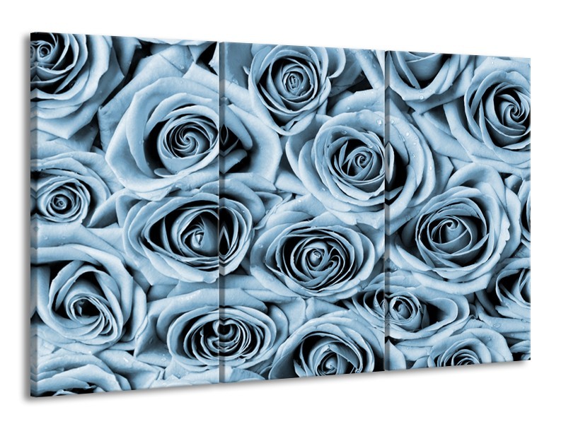 Canvas Schilderij Bloemen, Roos | Blauw, Grijs | 165x100cm 3Luik