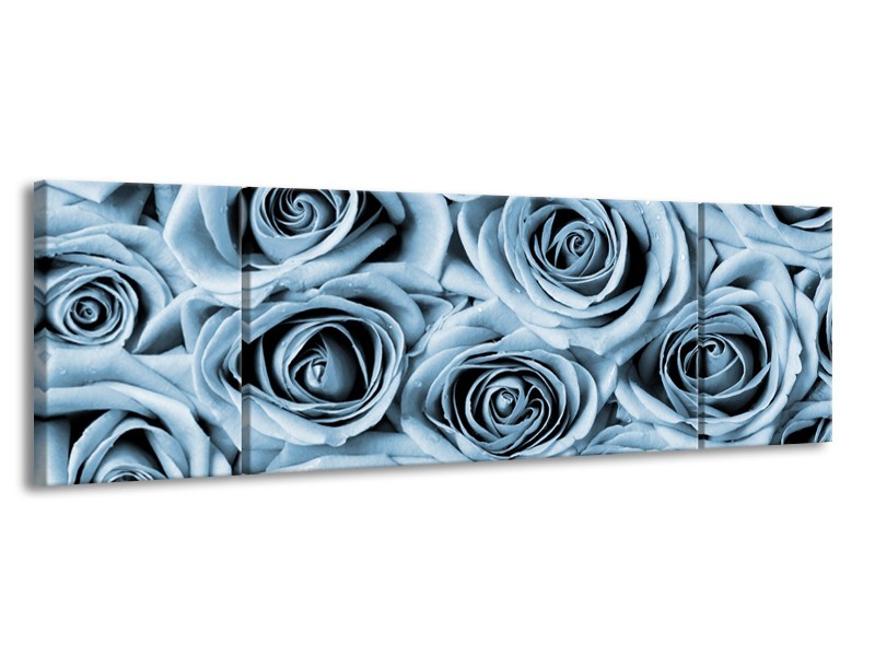 Glasschilderij Bloemen, Roos | Blauw, Grijs | 170x50cm 3Luik