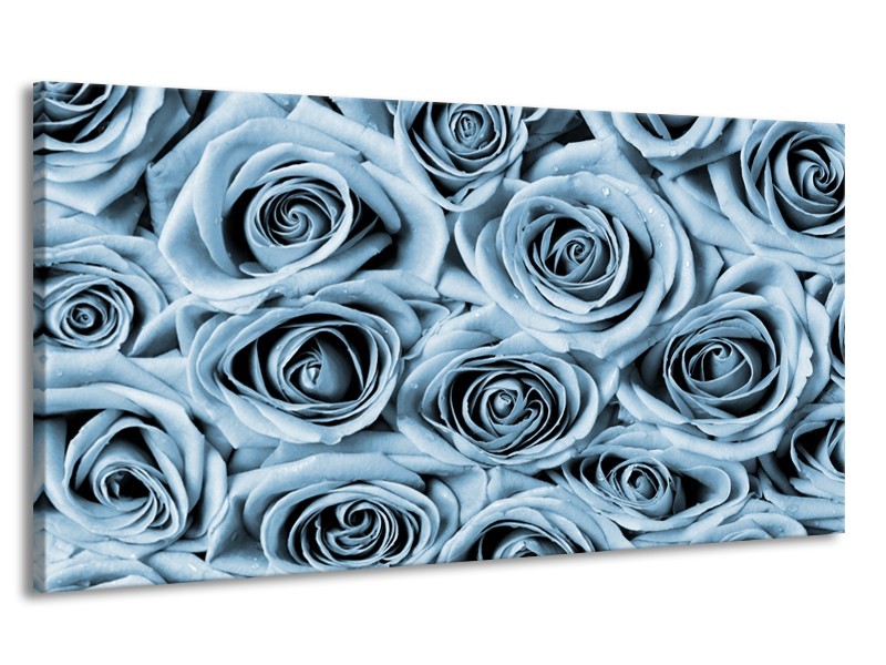 Canvas Schilderij Bloemen, Roos | Blauw, Grijs | 170x90cm 1Luik