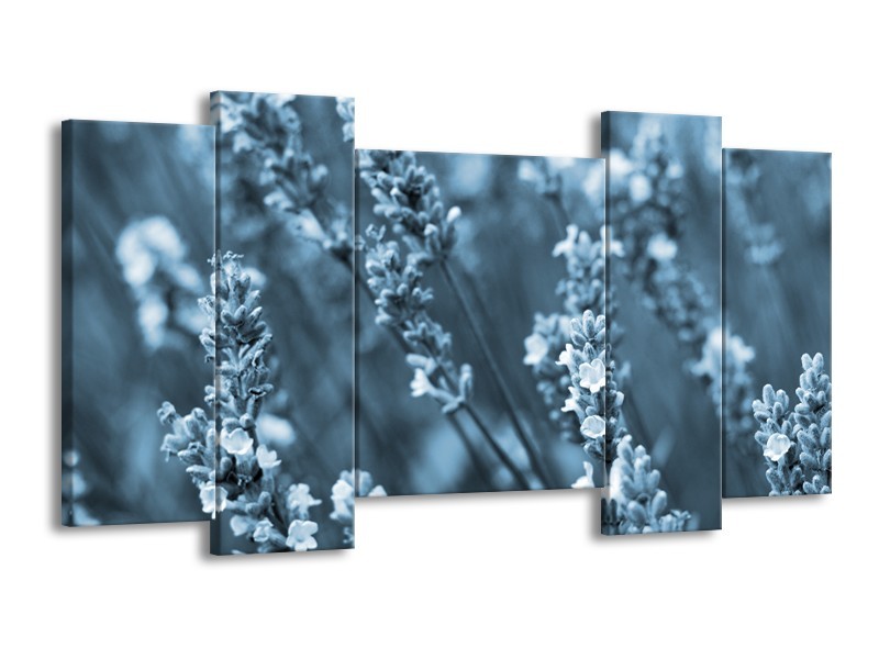 Canvas Schilderij Bloemen, Lente | Blauw, Grijs | 120x65cm 5Luik