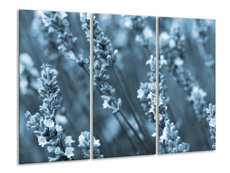 Canvas Schilderij Bloemen, Lente | Blauw, Grijs | 120x80cm 3Luik